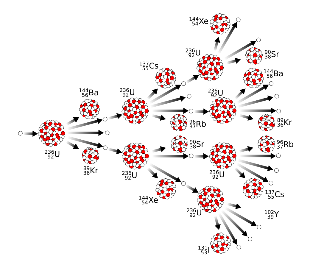 Nuclear fission of Uranium-236